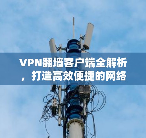 VPN翻墙客户端全解析，打造高效便捷的网络访问工具