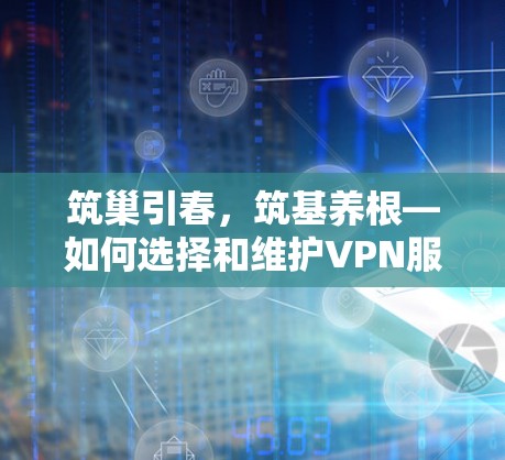 筑巢引春，筑基养根—如何选择和维护VPN服务