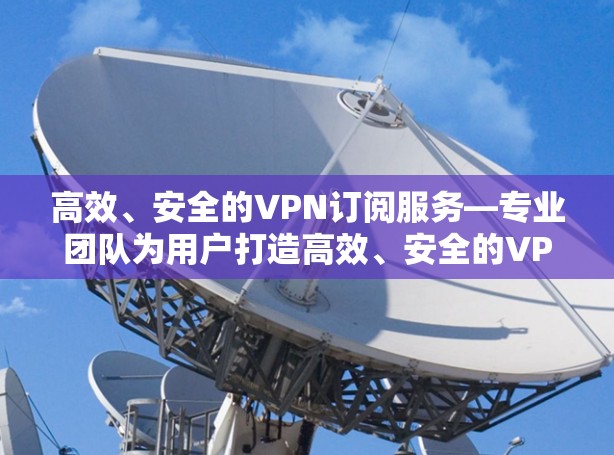 高效、安全的VPN订阅服务—专业团队为用户打造高效、安全的VPN预约服务