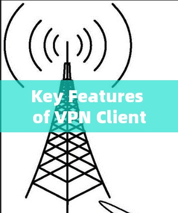 Key Features of VPN Clients: