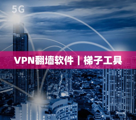 VPN翻墙软件｜梯子工具