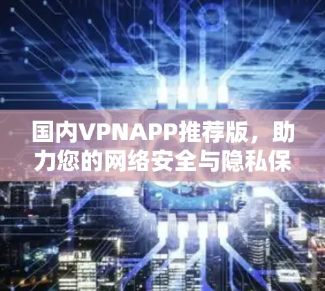 国内VPNAPP推荐版，助力您的网络安全与隐私保护