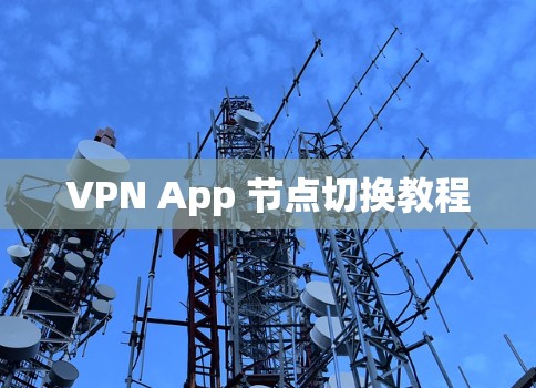 VPN App 节点切换教程