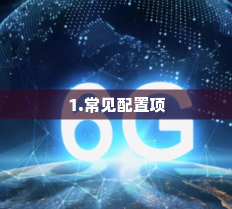 1.常见配置项 1.常见配置项