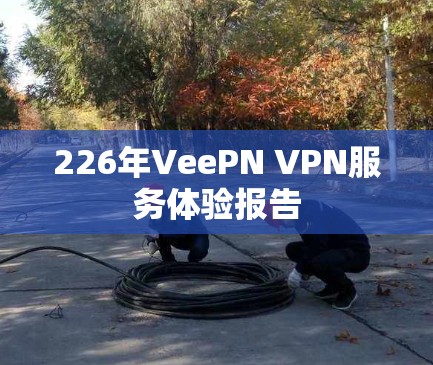 226年VeePN VPN服务体验报告