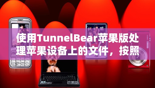 使用TunnelBear苹果版处理苹果设备上的文件,按照以下步骤进行 使用TunnelBear苹果版处理苹果设备上的文件,按照以下步骤进行