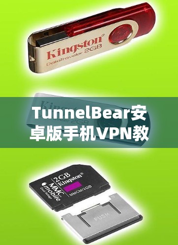 TunnelBear安卓版手机VPN教程全解析