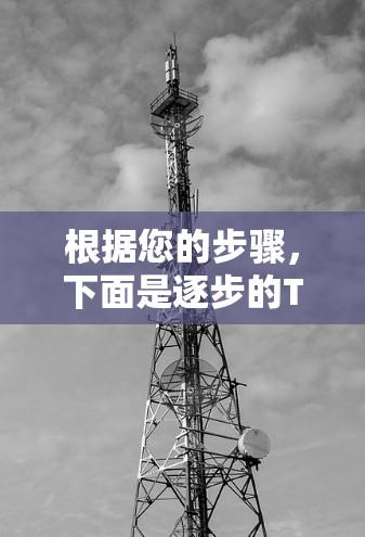 根据您的步骤，下面是逐步的TunnelBear VPN下载和安装指南