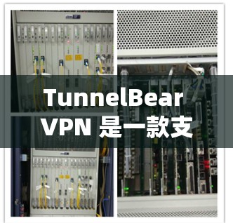 TunnelBear VPN 是一款支持多平台的VPN软件，包括苹果版的CrossPlatform版本。以下是使用 TunnelBear VPN 苹果版进行VPN操作的步骤