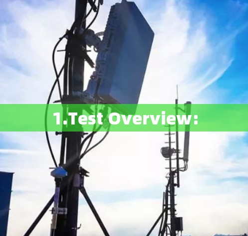 1.Test Overview: