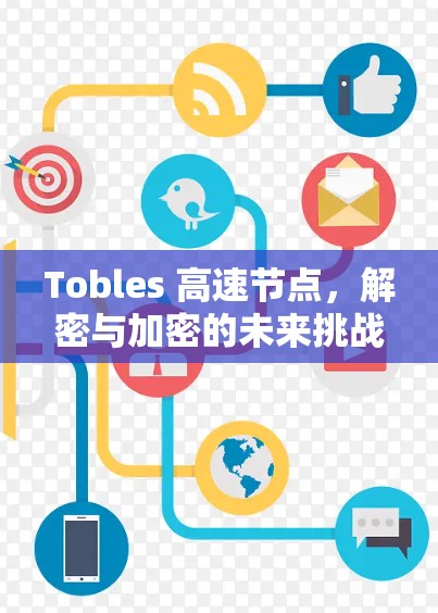 Tobles 高速节点,解密与加密的未来挑战 Tobles 高速节点,解密与加密的未来挑战