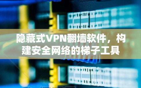 隐藏式VPN翻墙软件,构建安全网络的梯子工具