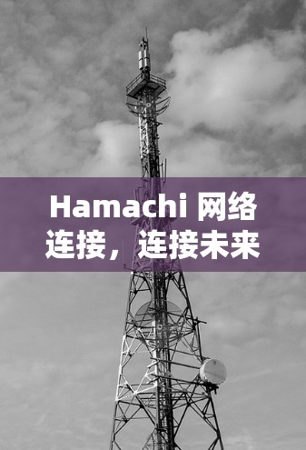 Hamachi 网络连接,连接未来 Hamachi 网络连接,连接未来
