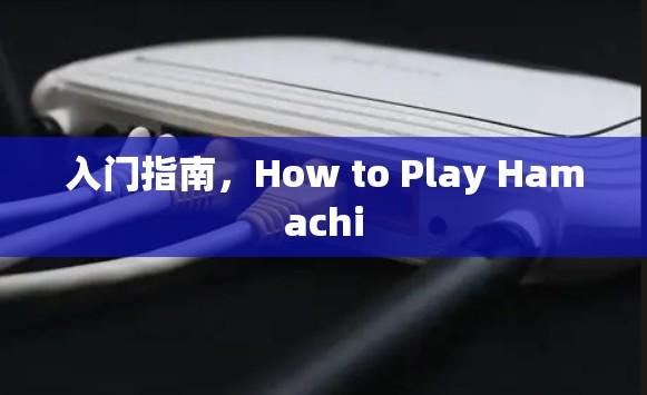 入门指南,How to Play Hamachi 入门指南,How to Play Hamachi