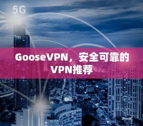 GooseVPN,安全可靠的VPN推荐