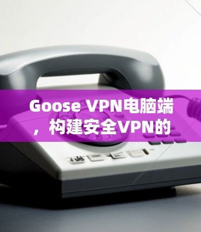 Goose VPN电脑端,构建安全VPN的高效选择