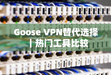 Goose VPN替代选择|热门工具比较