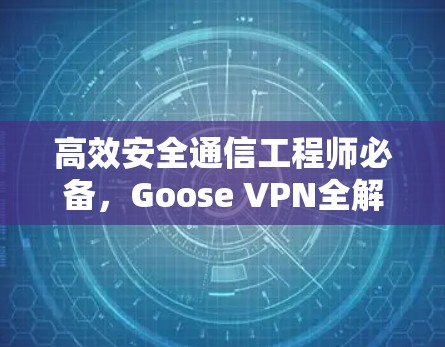 高效安全通信工程师必备，Goose VPN全解析