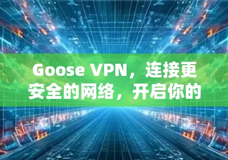 Goose VPN，连接更安全的网络，开启你的隐私之旅！