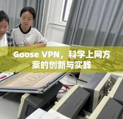 Goose VPN,科学上网方案的创新与实践