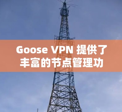 Goose VPN 提供了丰富的节点管理功能,允许用户在本地管理多个节点,从而控制访问不同的网络资源。以下是进行节点管理的详细步骤